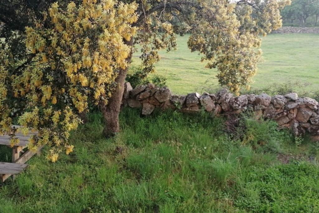 Casa Namaste - Ortigosa Del Monte Villa Eksteriør billede