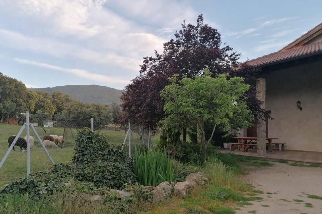 Casa Namaste - Ortigosa Del Monte Villa Eksteriør billede